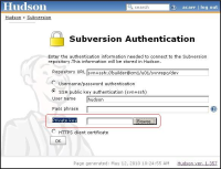 Hudson-SVN-Setup.JPG