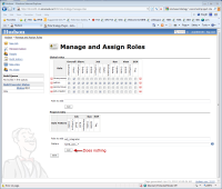 HudsonRBS Manage Roles.png