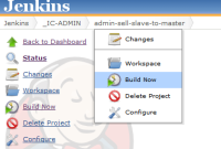 context-menu-build-now.PNG