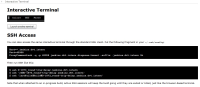 screenshot_interactive_terminal.jpg