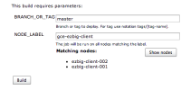 dk_node_label_concurrent_run_job_detail.png