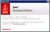 java-info.jpg