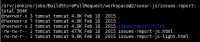 jenkinsworkspacereport.png