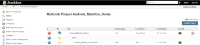 MultiJob_LastSuccess_JobPage.png