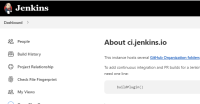 jenkins bug.PNG