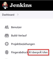 2022-10-20 14_28_50-Ãbersicht [Jenkins] und 25 weitere Seiten - Geschäftlich – Microsoft​ Edge.jpg