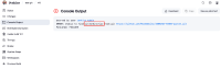 Jenkins Console.png